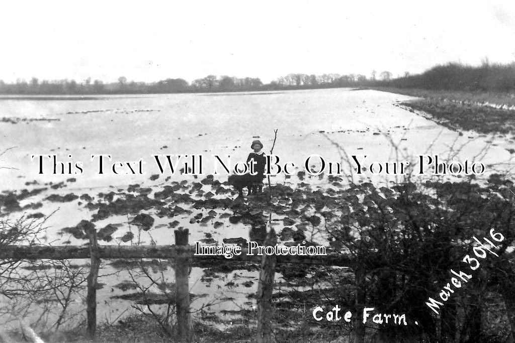 NF 1586 - Cote Lodge Farm Floods, Norfolk 1916