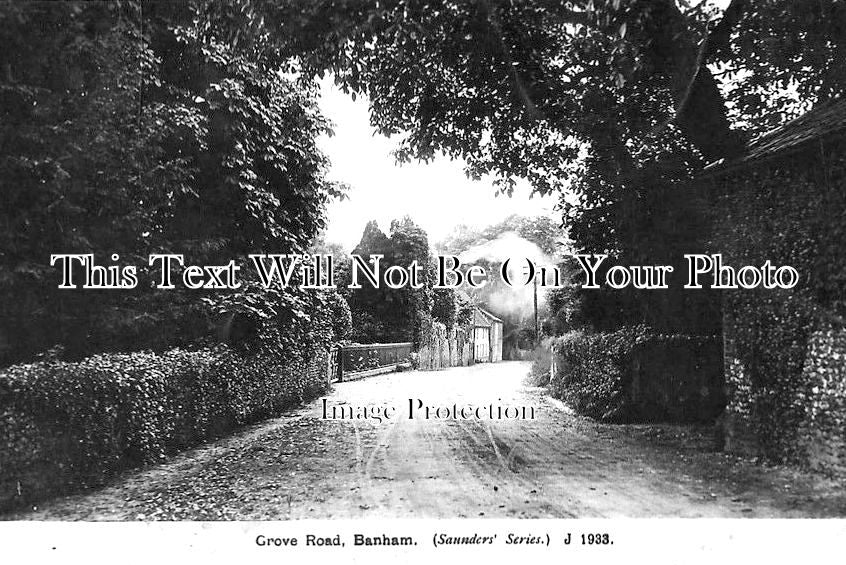 NF 1620 - Grove Road, Banham, Norfolk c1916