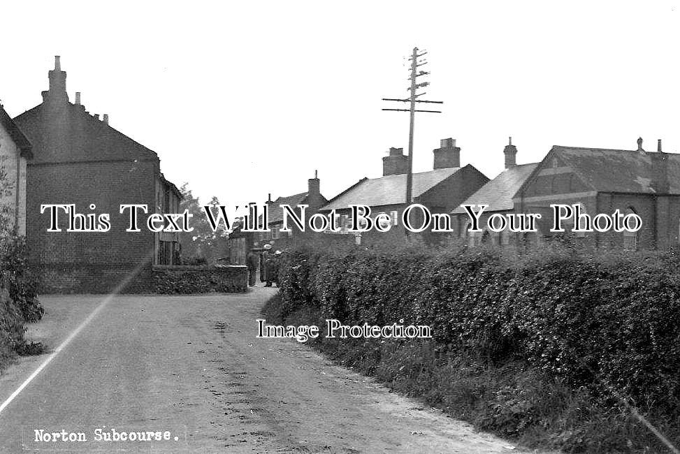 NF 1704 - Norton Subcourse, Norfolk