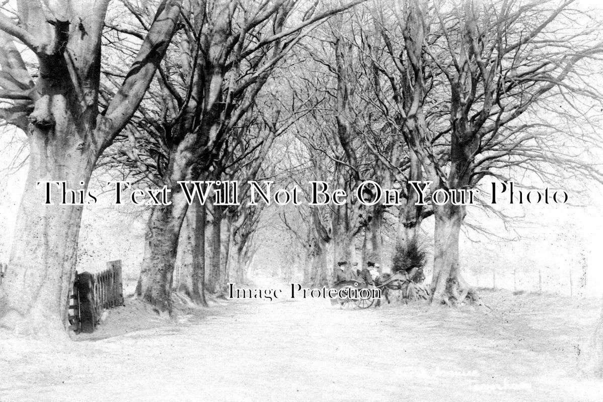 NF 1921 - Beech Avenue, Taverham, Norwich, Norfolk