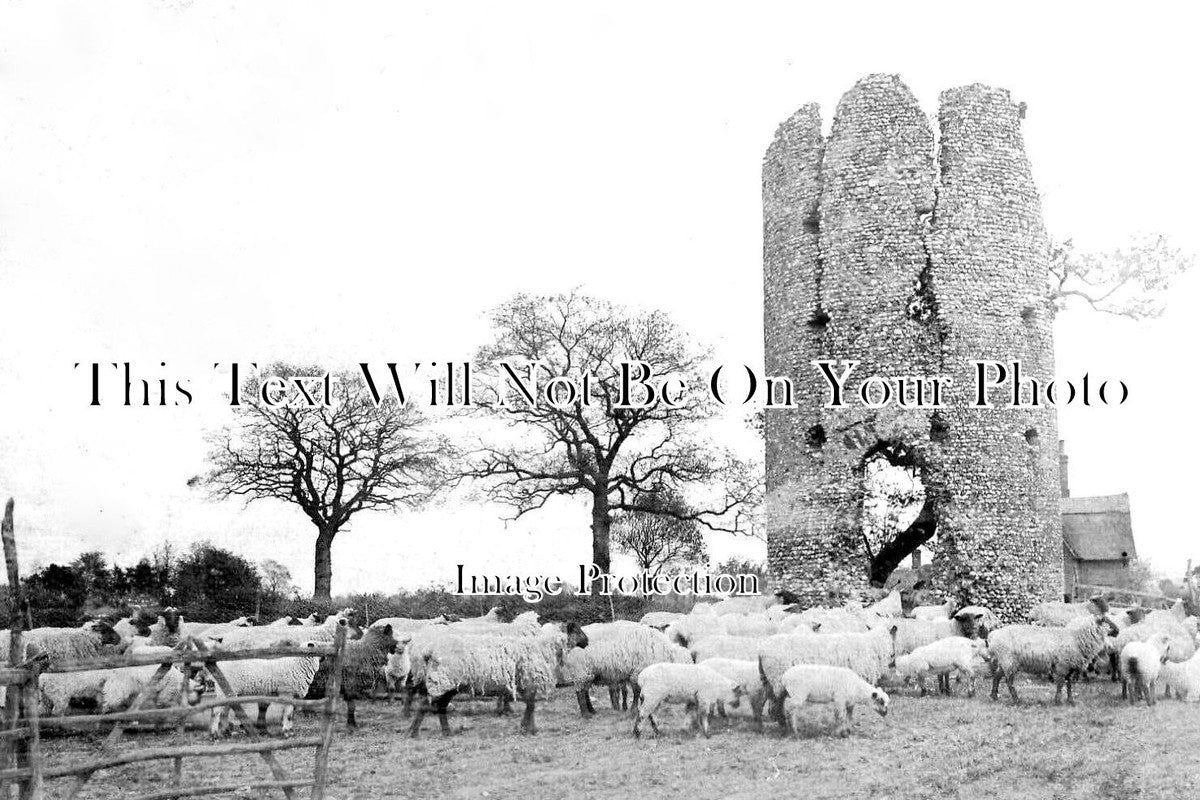 NF 2264 - Old Ruins, Thorpe Parva, Scole, Norfolk c1905