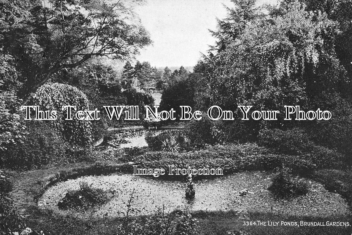NF 231 - The Lily Ponds, Brundall Gardens, Norfolk