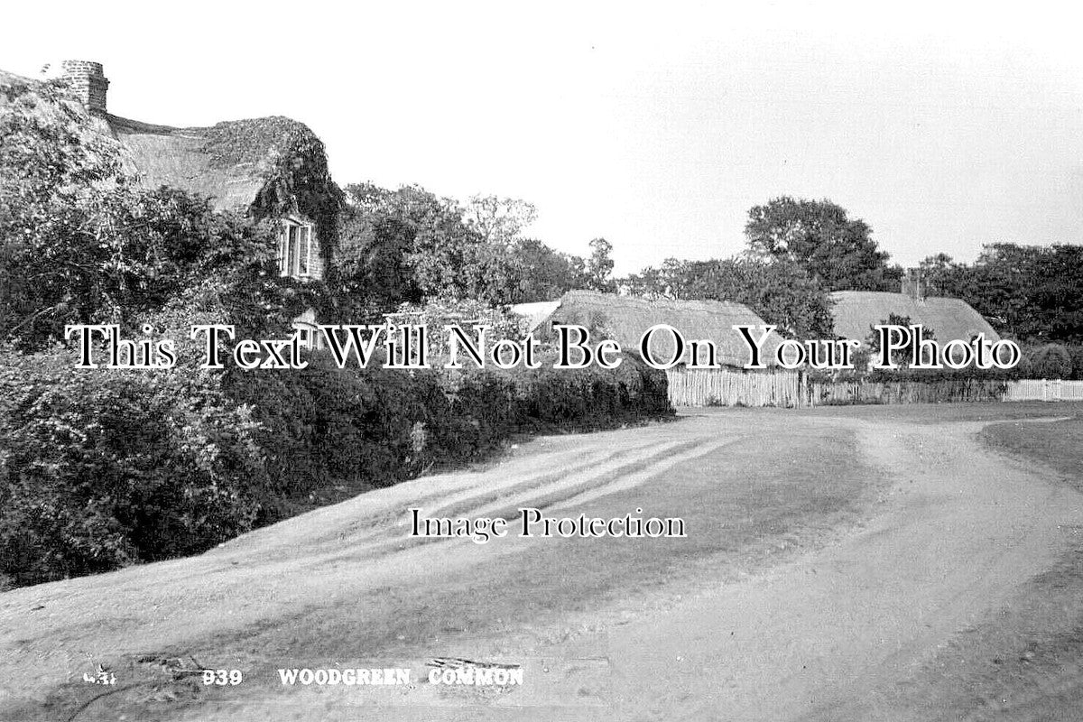 NF 2429 - Woodgreen Common, Norfolk