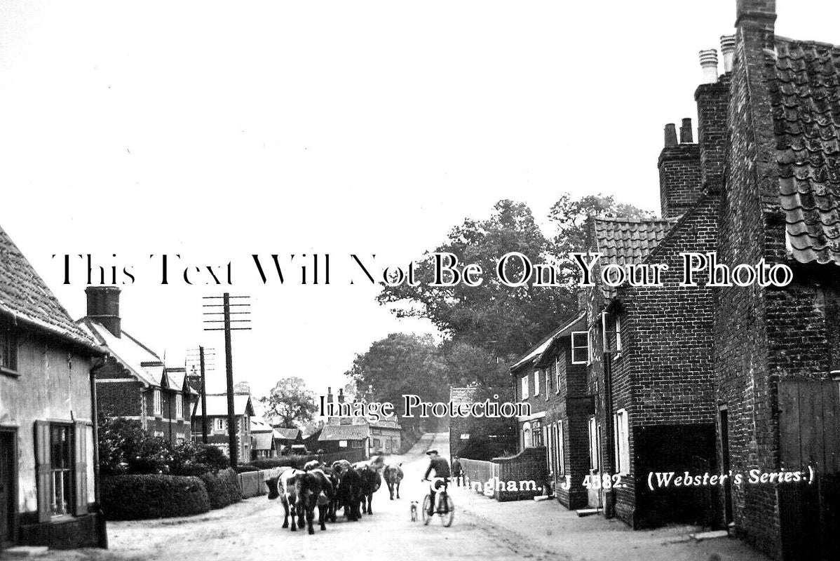 NF 2497 - Gillingham, Norfolk