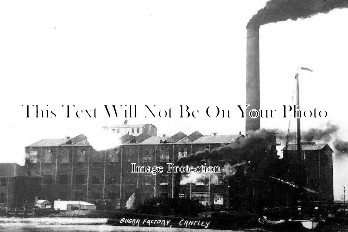 NF 2623 - Sugar Factory, Cantley, Norfolk c1913