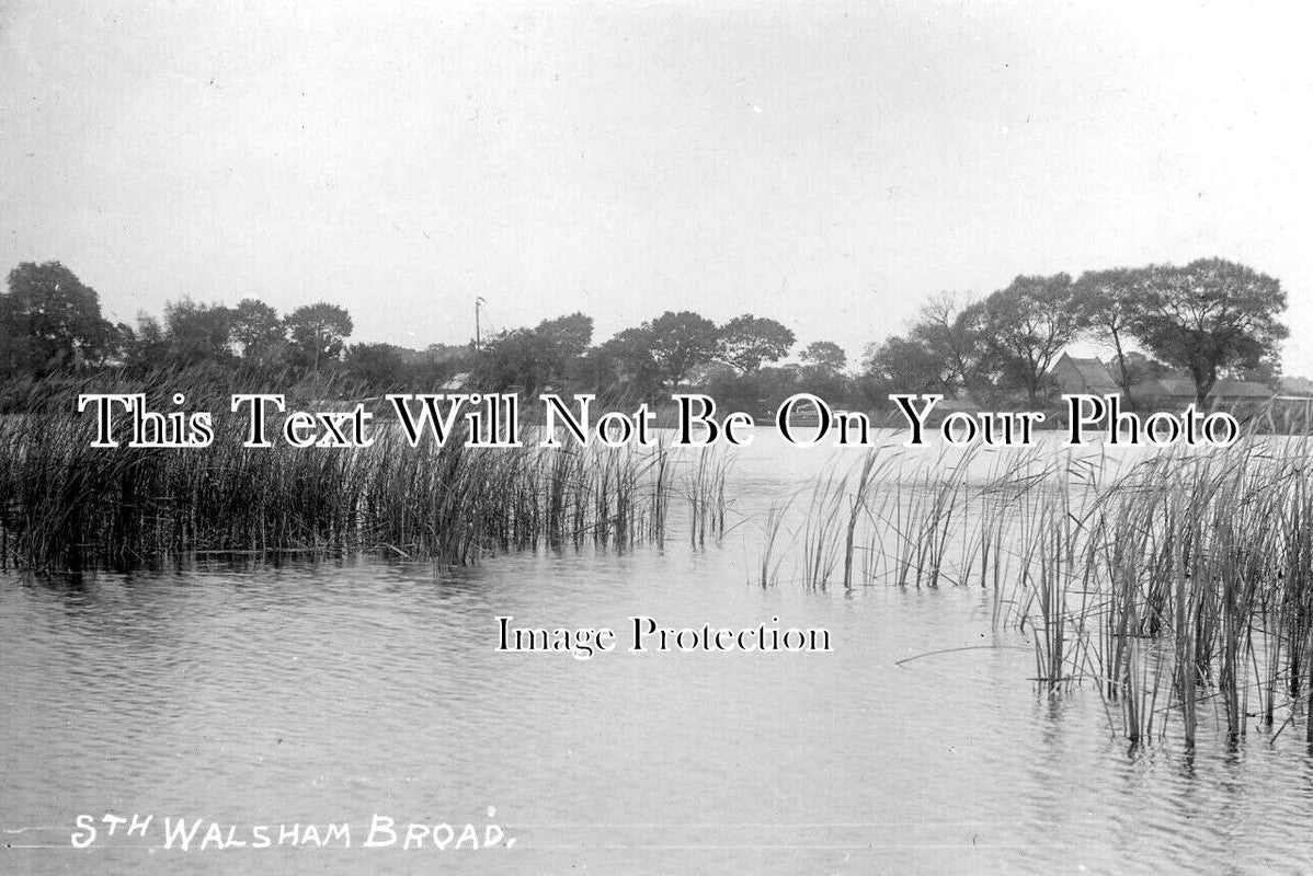 NF 2649 - South Walsham Broad, Norfolk