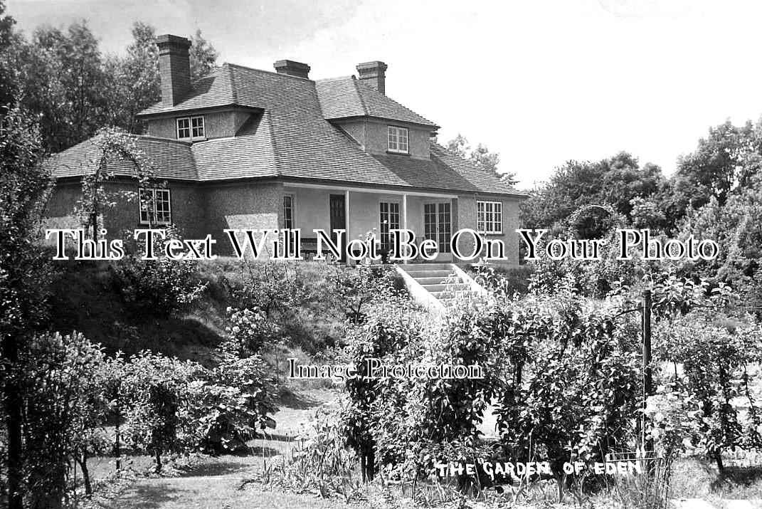 NF 2750 - The Garden Of Eden, Hunts Corner, Banham, Norfolk