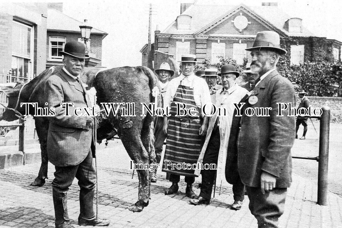 NF 2764 - Livestock Sale, Market Place, Dereham, Norfolk