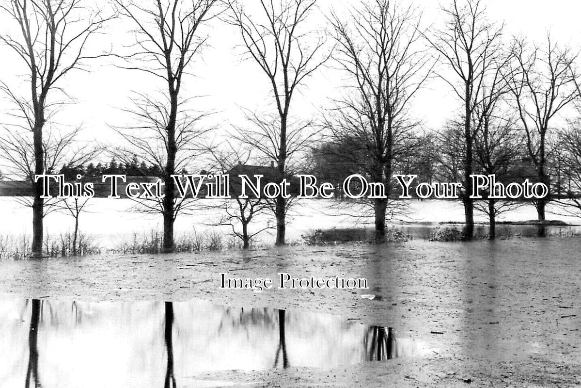 NF 2940 - Feltwell Floods, Norfolk c1912