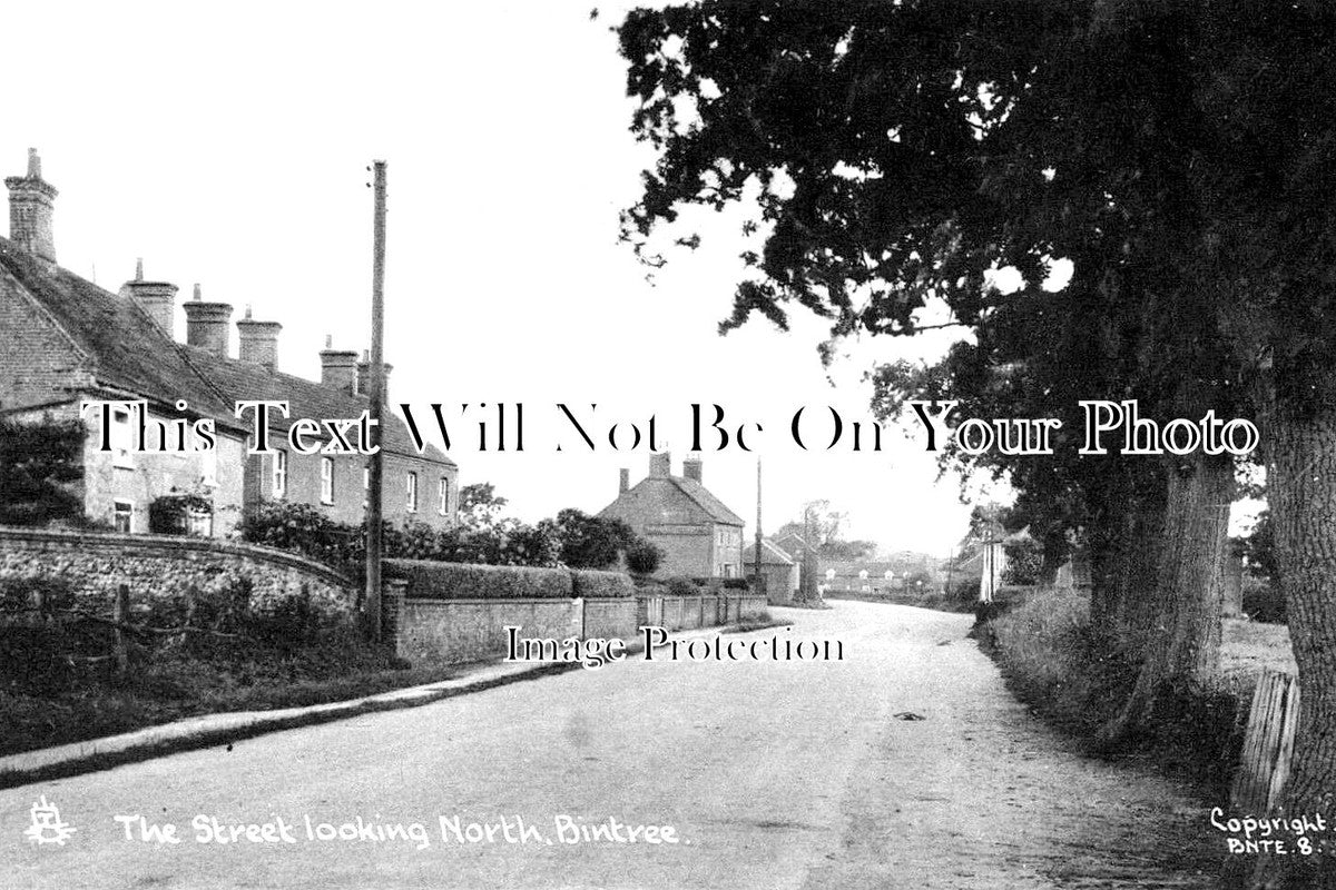 NF 2974 - The Street Looking North, Bintree, Norfolk