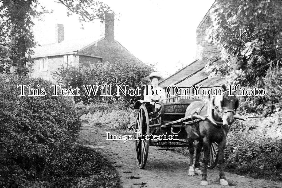 NF 3113 - High Ash Farm Delivery Cart, Caistor Street, Michael, Norfolk c1912