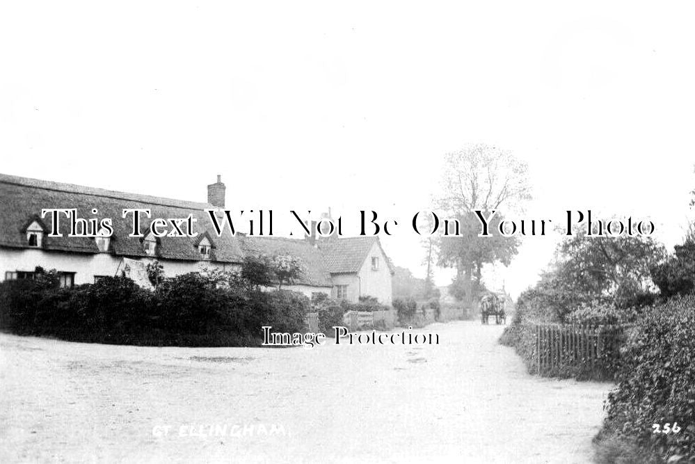 NF 3498 - Great Ellingham, Norfolk