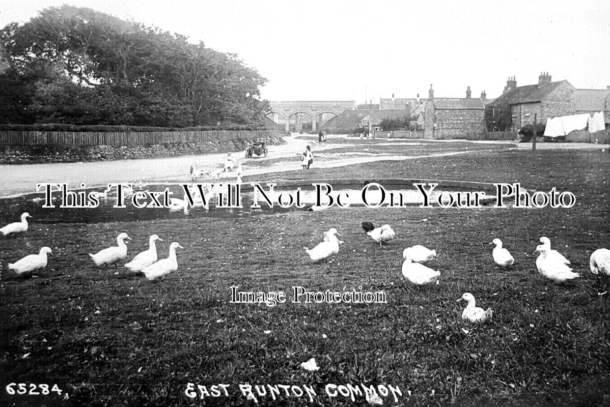 NF 3656 - East Runton Common, Norfolk