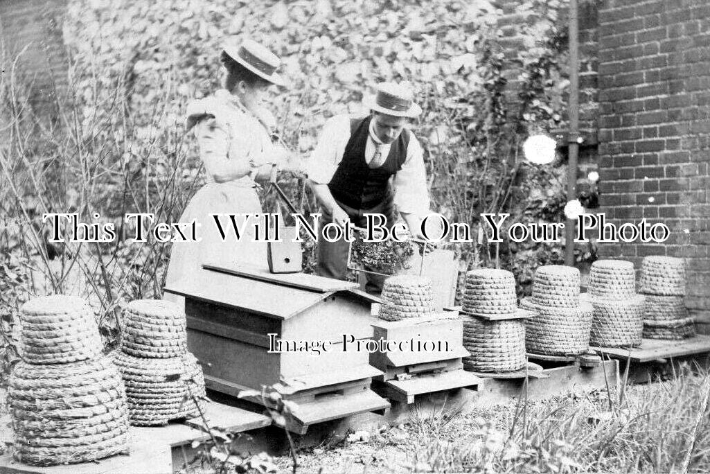 NF 3799 - Bee Keeper, Thorpe Near Norwich, Norfolk