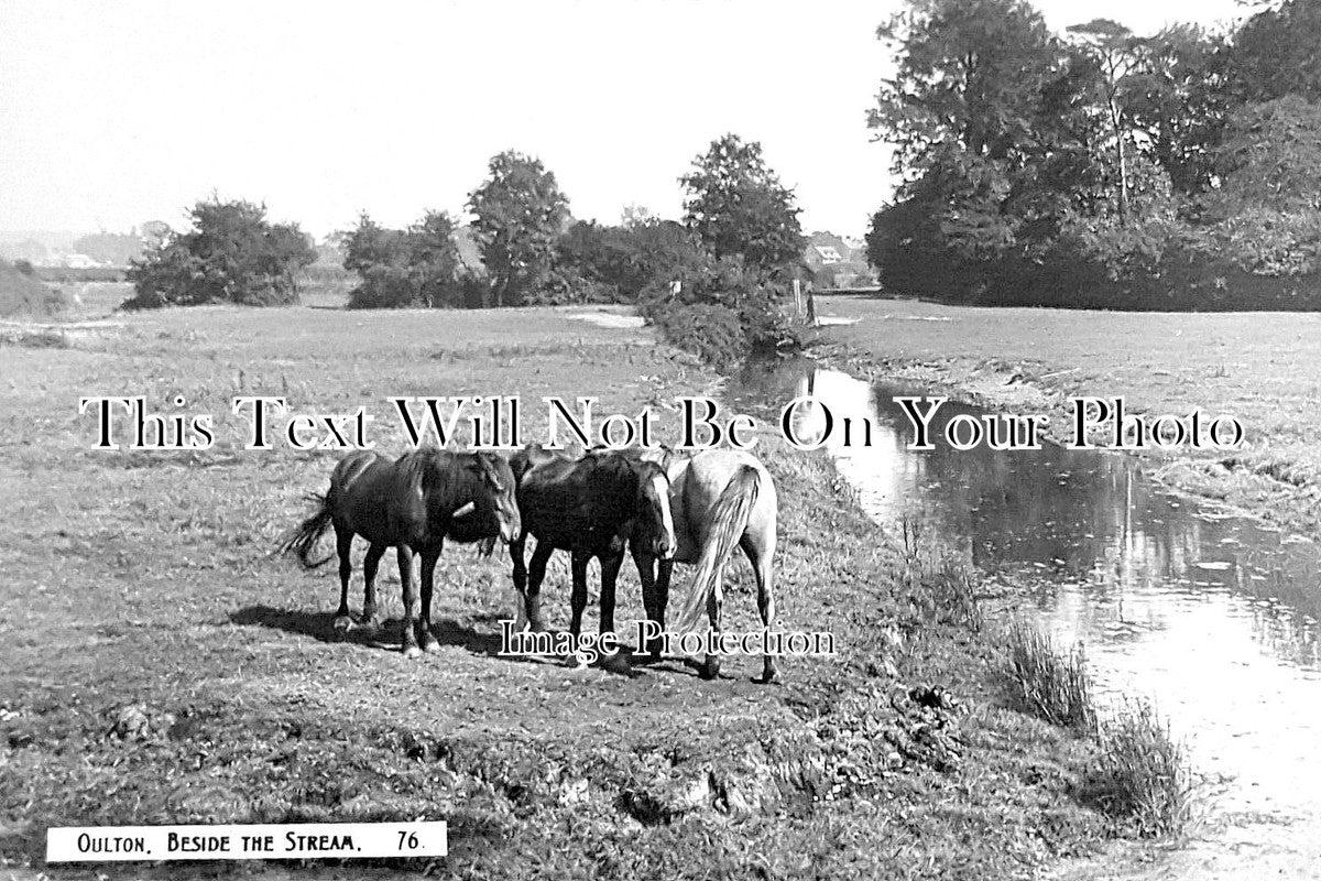 NF 3907 - Beside The Stream, Oulton, Norfolk