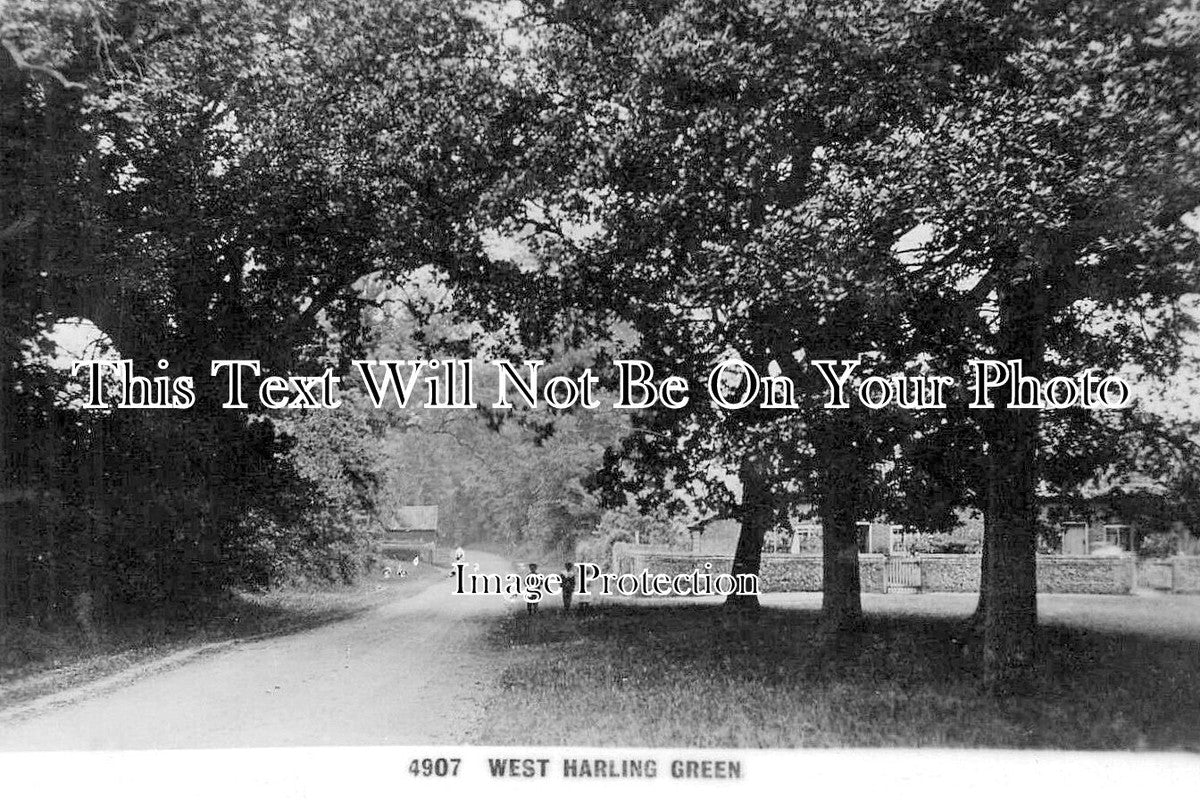 NF 3913 - The Green, West Harling, Norfolk c1909