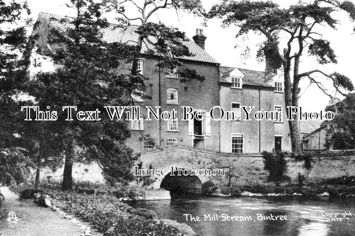 NF 3944 - The Mill Stream, Bintree, Norfolk