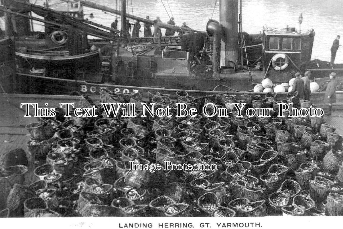 NF 3949 - Landing Herring At Great Yarmouth, Norfolk