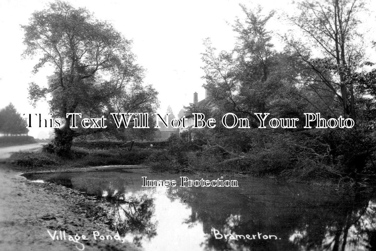 NF 4193 - Village Pond, Bramerton, Norfolk