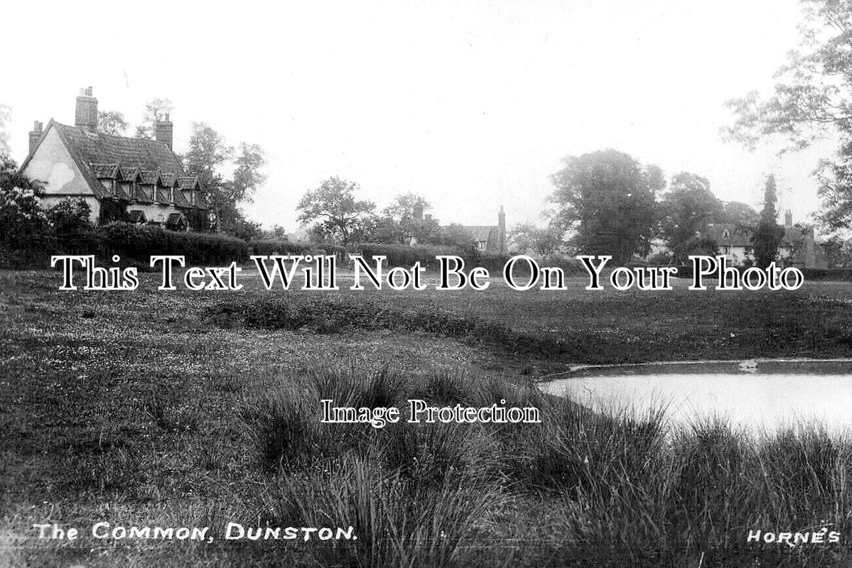 NF 4231 - The Common, Dunston, Norfolk