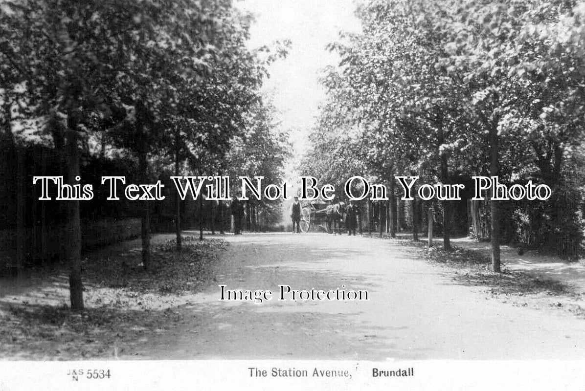 NF 4307 - The Station Avenue, Brundall, Norfolk c1909