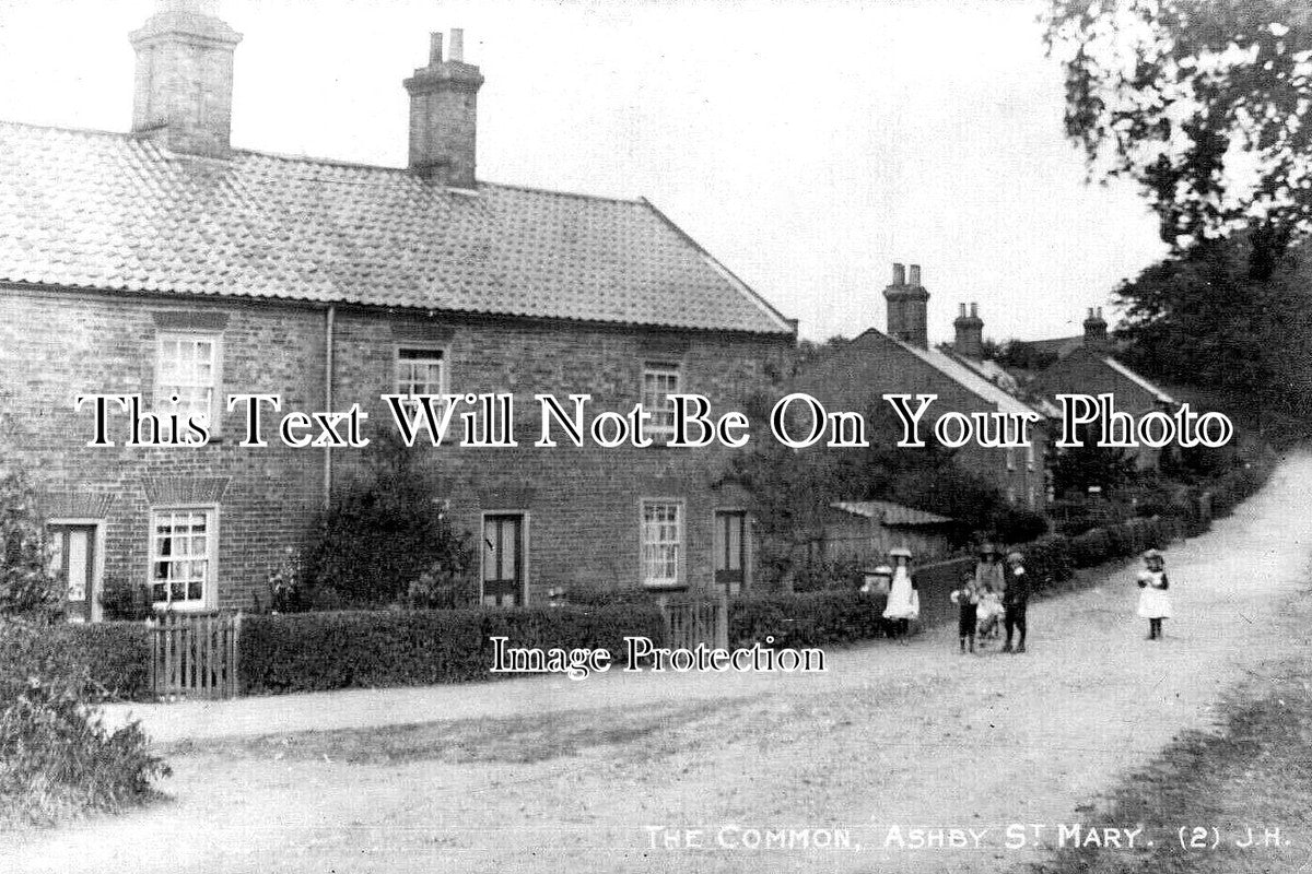 NF 4369 - The Common, Ashby St Mary, Norfolk c1920