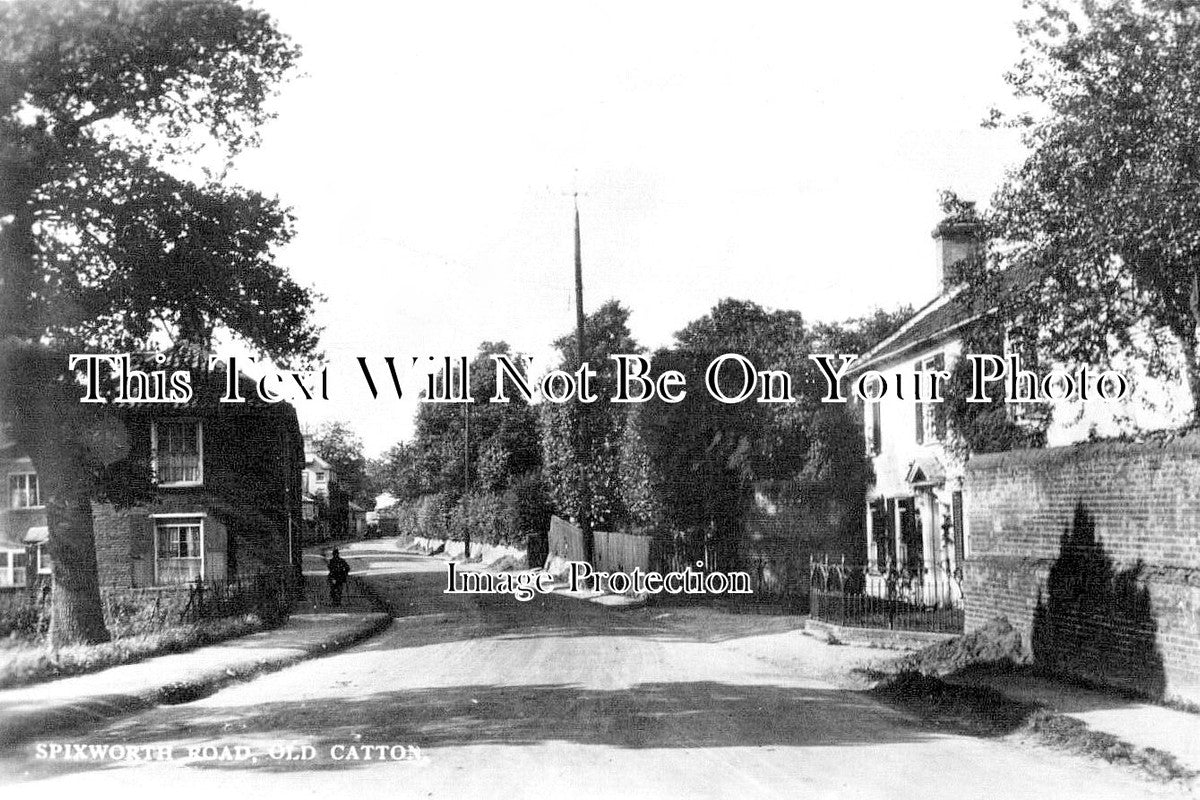 NF 4423 - Spixworth Road, Old Catton, Norfolk c1920