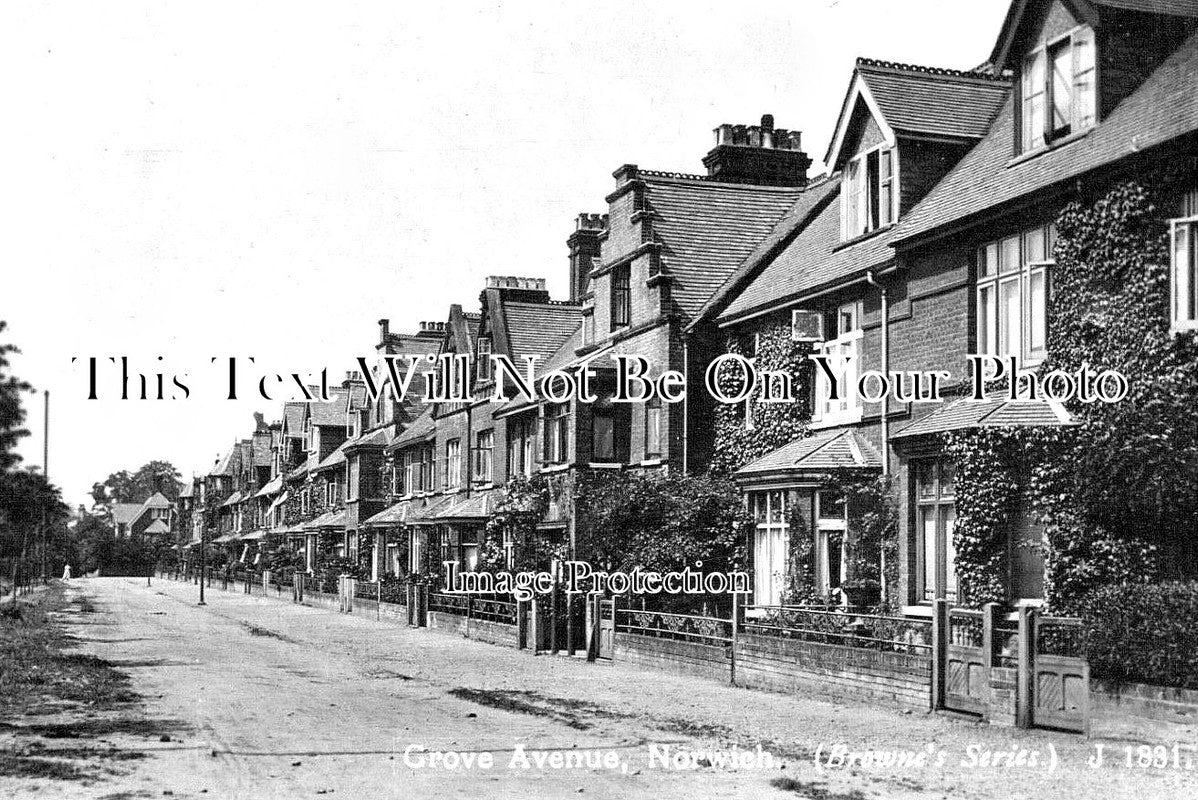 NF 4463 - Grove Avenue, Norwich, Norfolk c1915