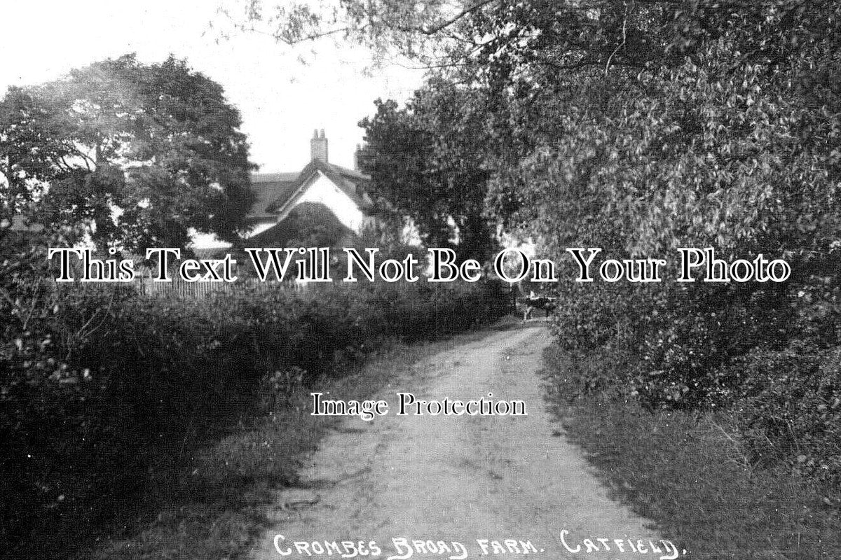 NF 4556 - Crombes Broad Farm, Catfield, Norfolk c1912