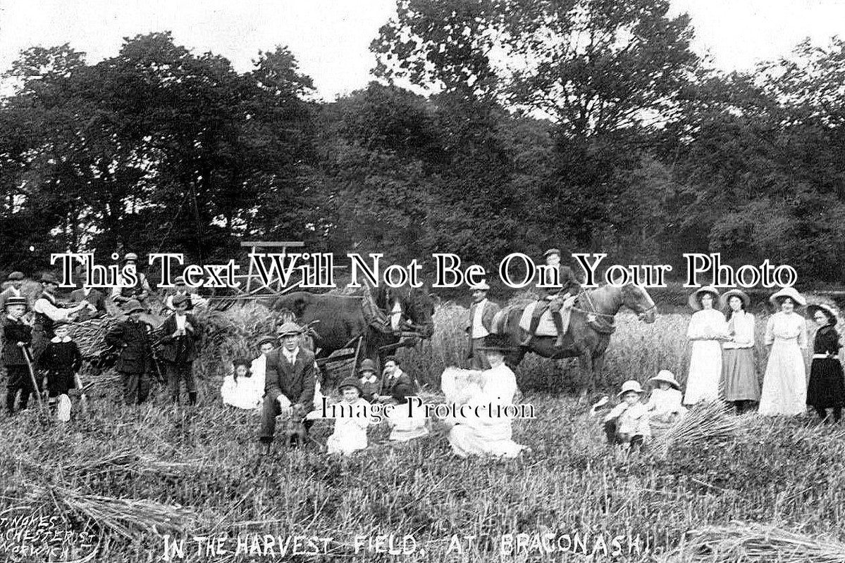 NF 620 - In The Harvest Field, Bracon Ash, Norfolk c1920