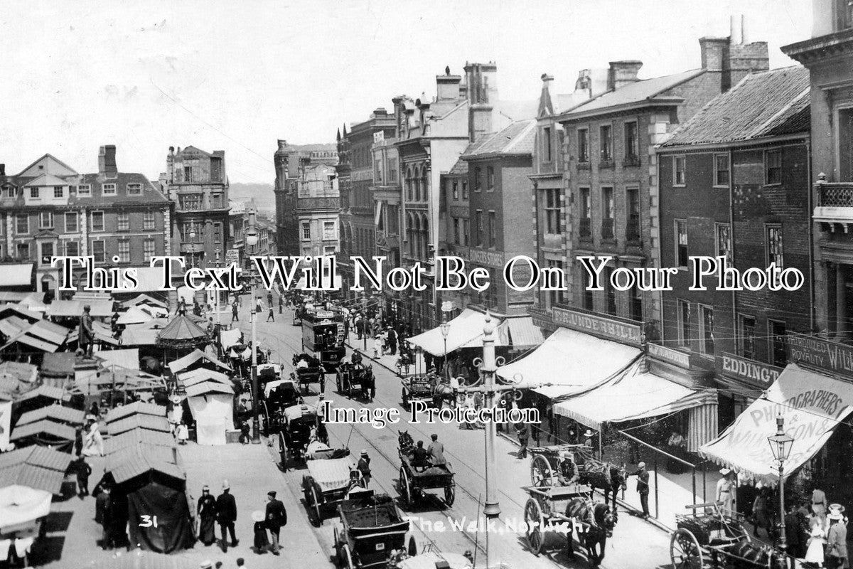 NF 926 - The Walk, Norwich, Norfolk c1914