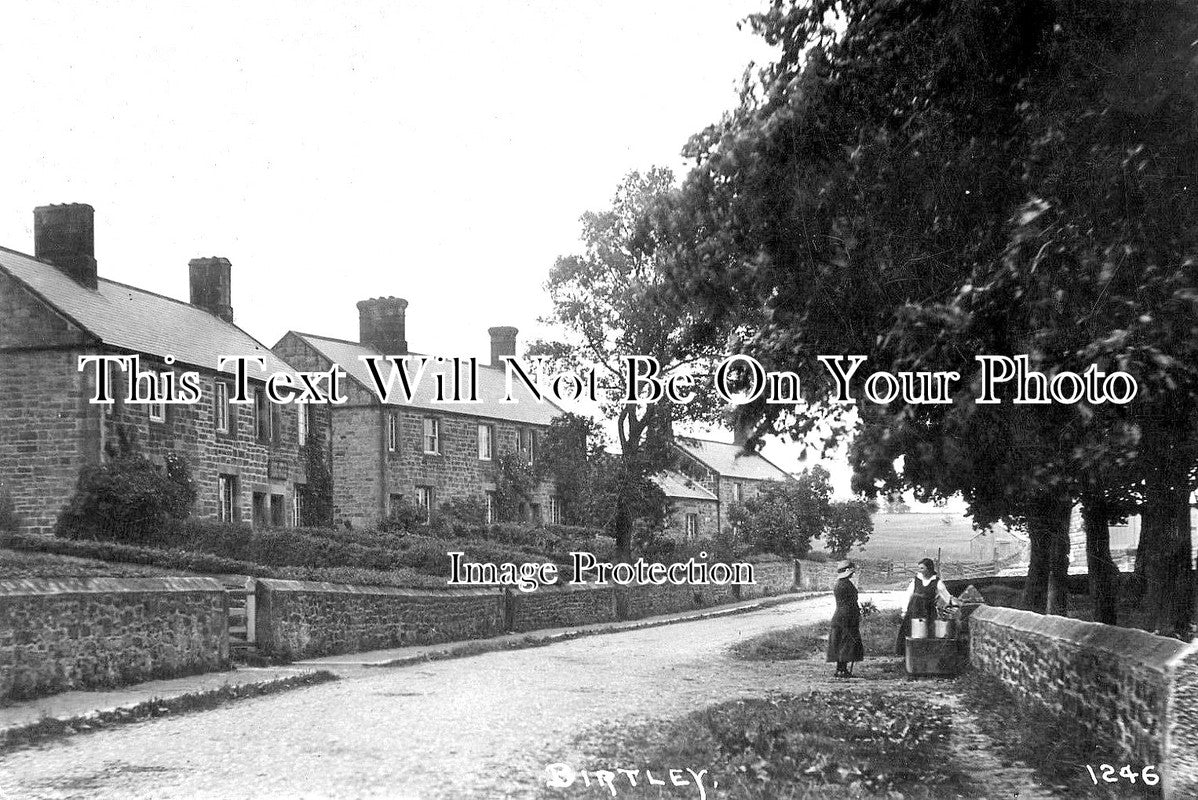 NO 1062 Birtley Village, Barrasford, Hexham, Northumberland c1924
