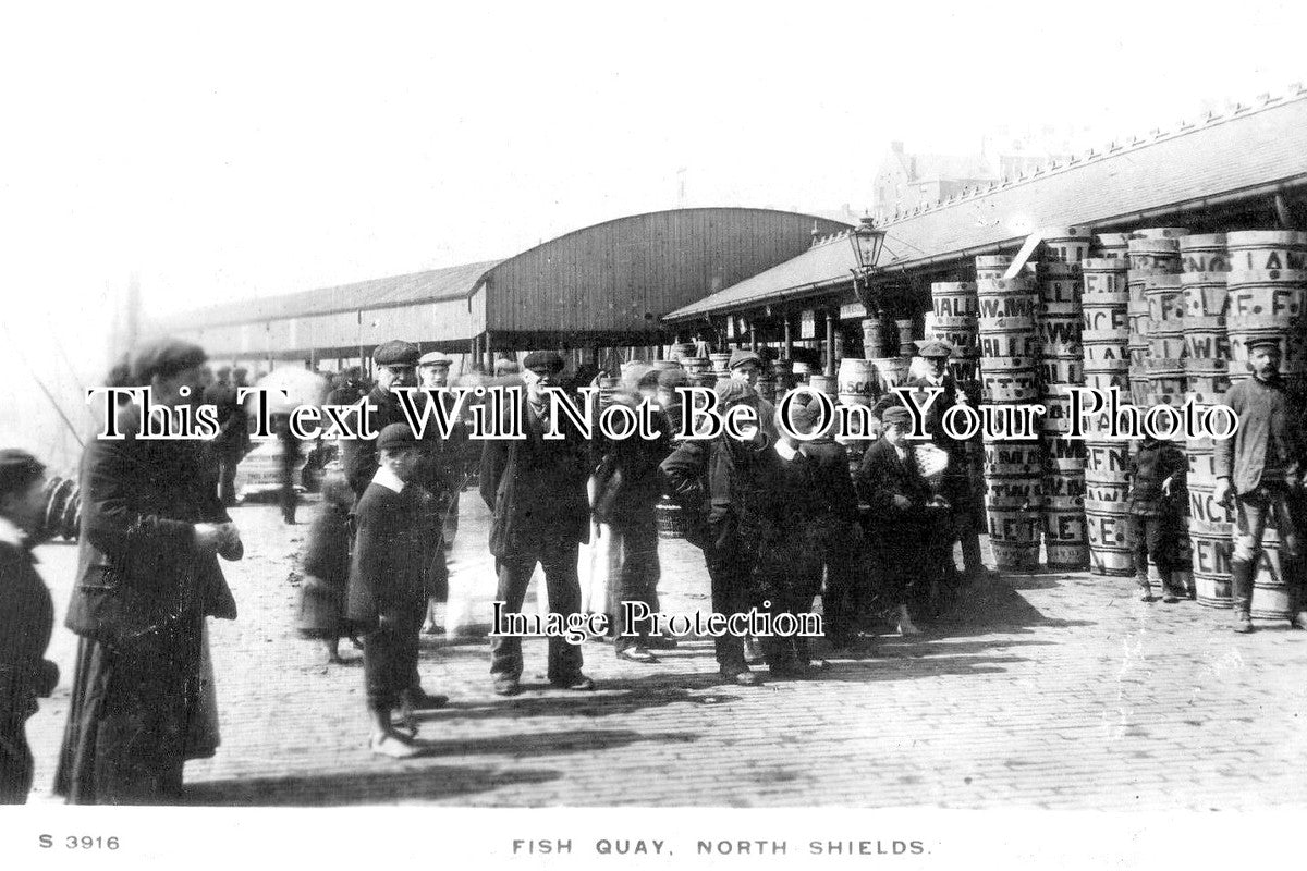 NO 1134 - The Fish Quay, North Shields, Newcastle Upon Tyne c1910