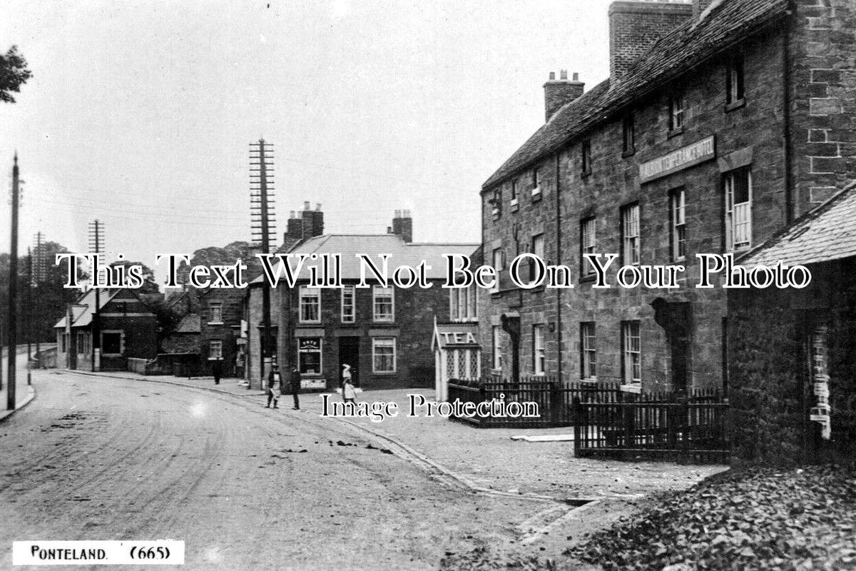 NO 360 Ponteland, Northumberland JB Archive