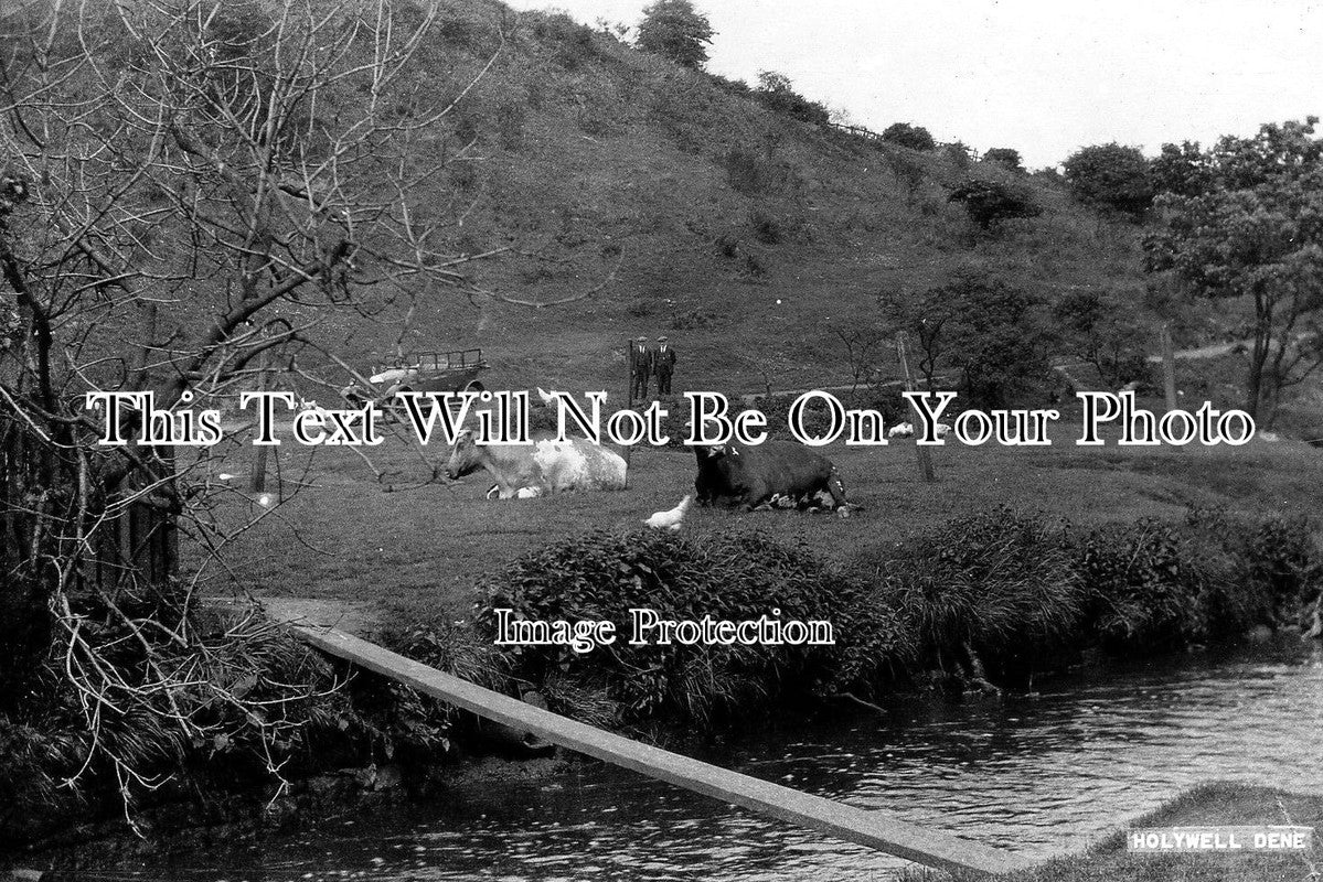 NO 629 Holywell Dene, Seaton Delaval, Northumberland JB Archive