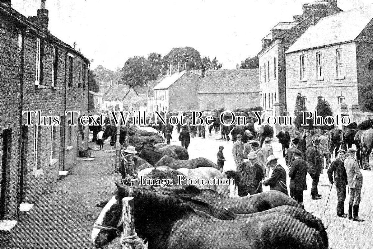 OX 1269 - Bampton Horse Fair, Oxfordshire