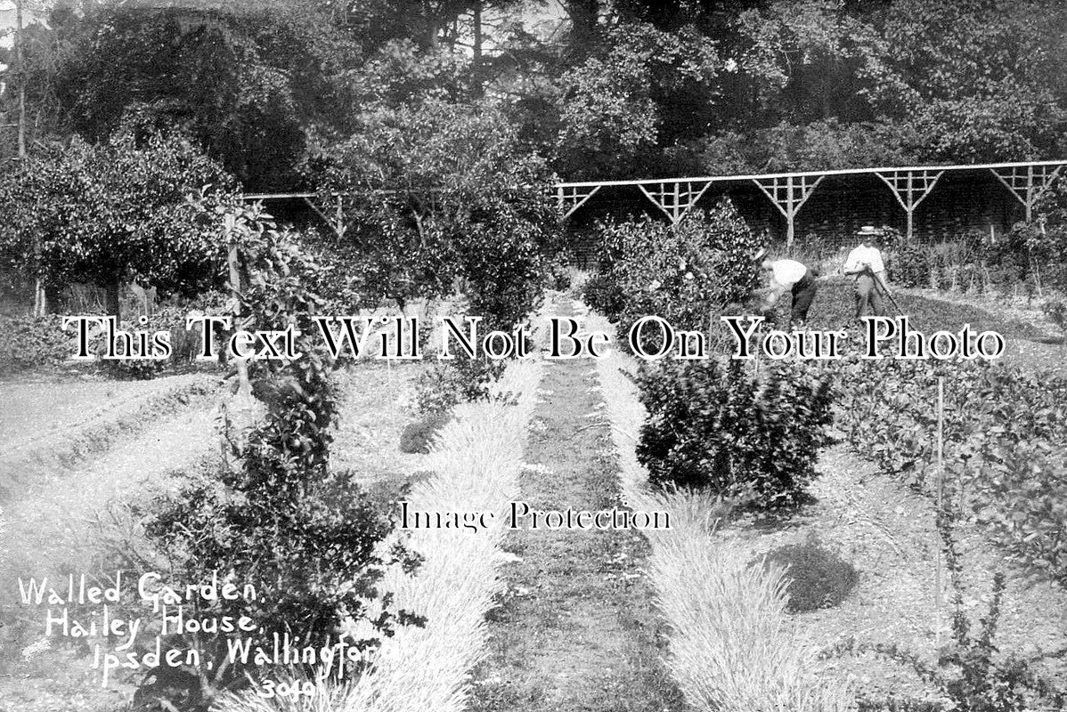 OX 1799 - Walled Garden, Hailey House, Ipsden, Wallingford, Oxfordshire c1905