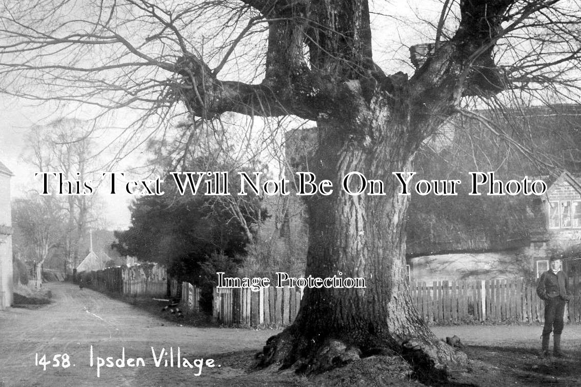OX 259 - Ipsden Village, Oxfordshire c1909
