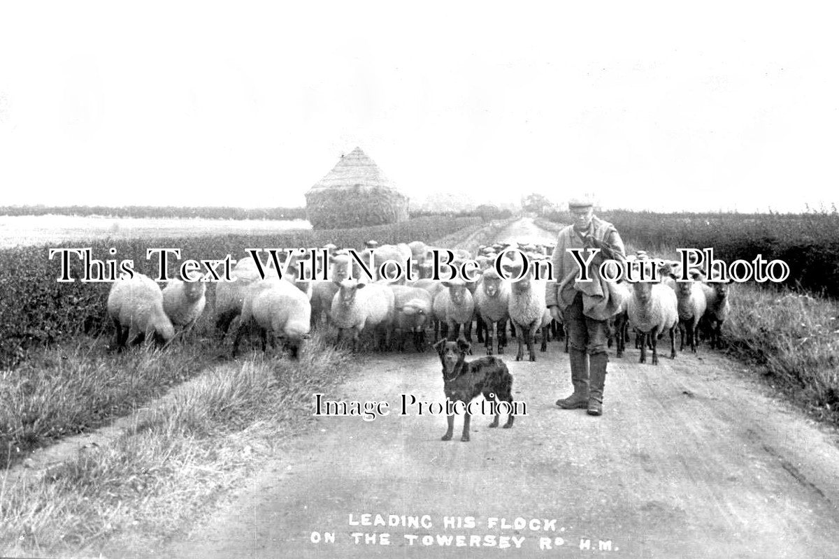 OX 733 - Shepherd On The Towersey Road, Towersey, Oxfordshire
