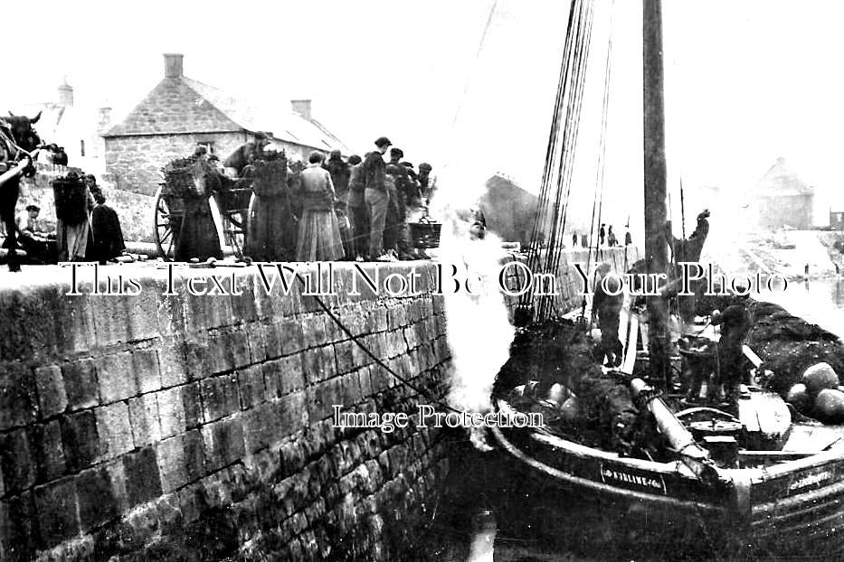 SC 102 - Landing A Catch At Lossiemouth, Scotland