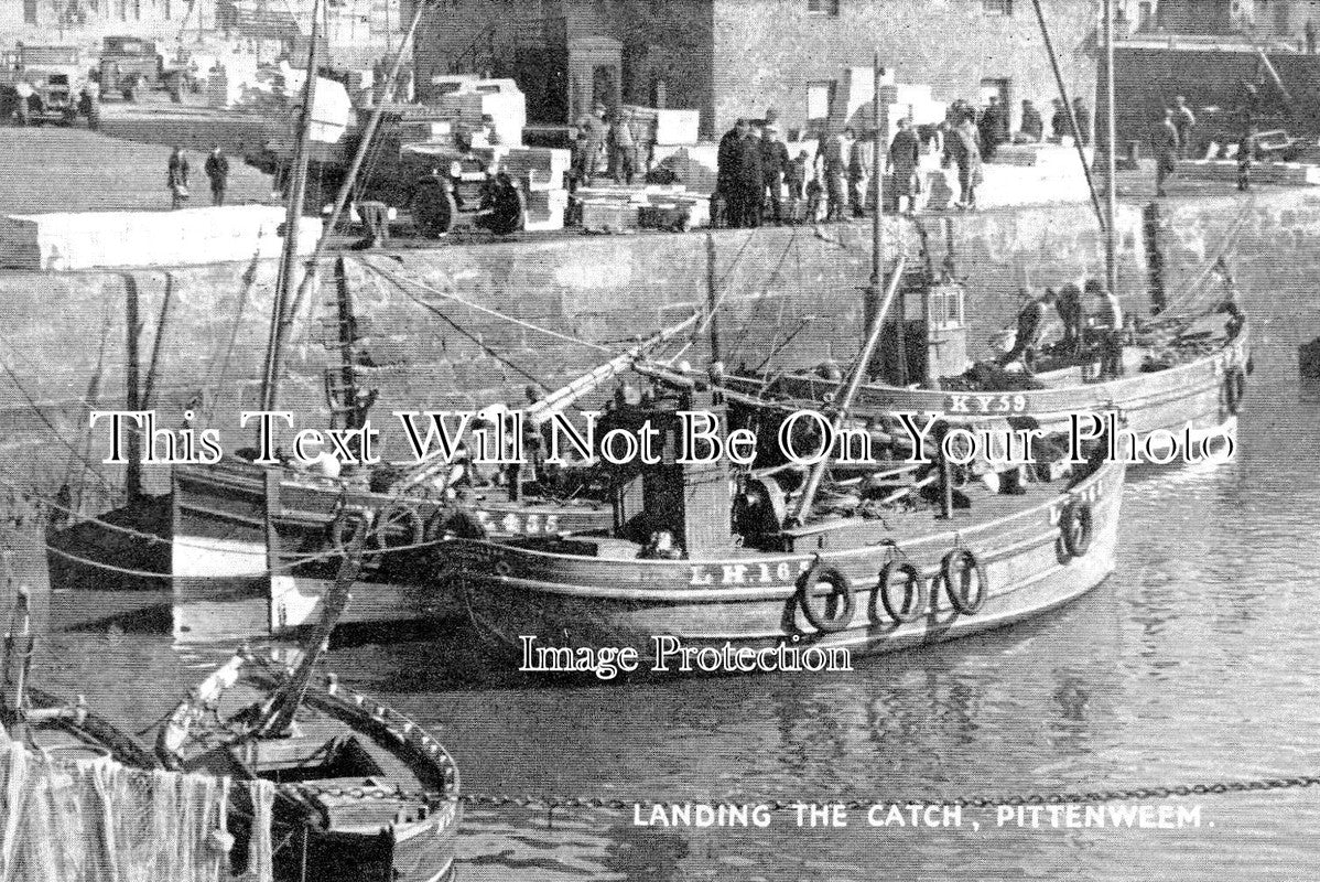 SC 120 - Landing The Catch, Pittenweem, Fife, Scotland