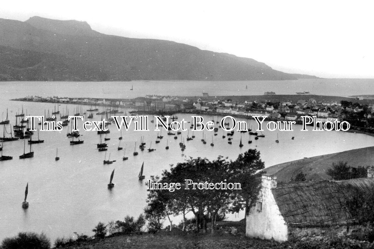 SC 1595 - Fishing Fleet, Ullapool Bay, Scotland c1909