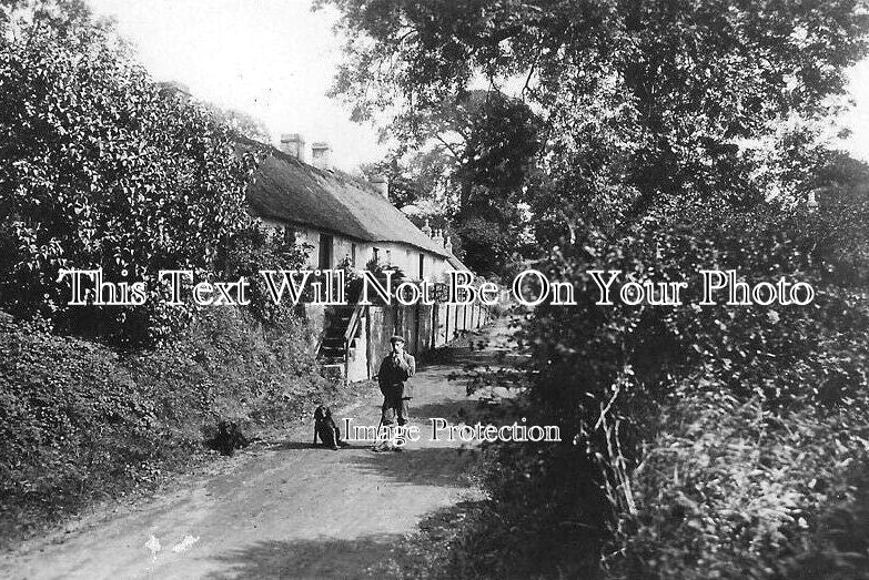 SC 1604 - Castle Road, Longforgan, Scotland c1910