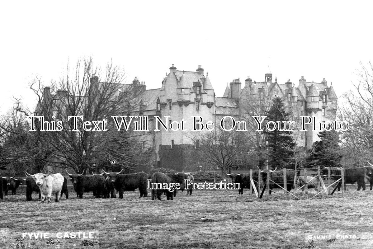 SC 1650 - Fyvie Castle, Aberdeenshire, Scotland
