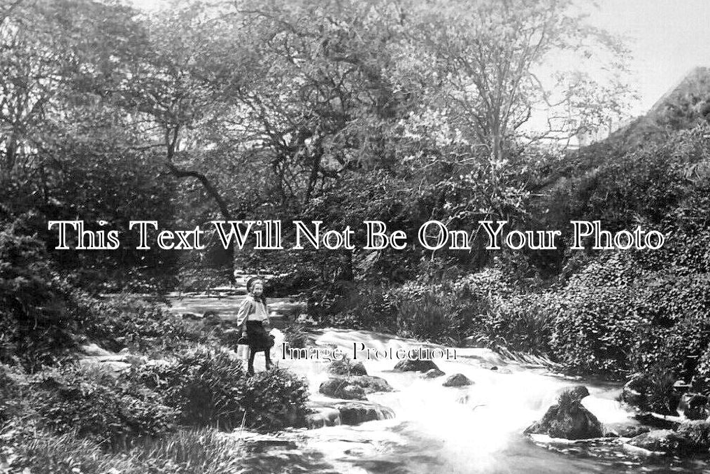 SC 1952 - On The Cruden Burn, Cruden Bay, Scotland