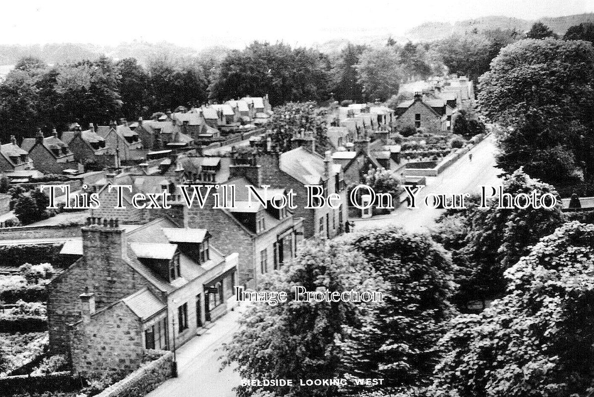 SC 2014 - Bielside Looking West, Aberdeen, Scotland