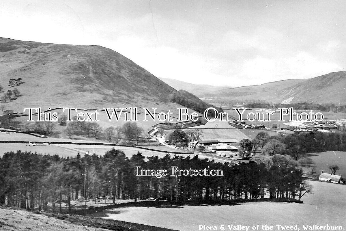 SC 2430 - Plora & Valley Of The Tweed, Walkerburn, Scotland