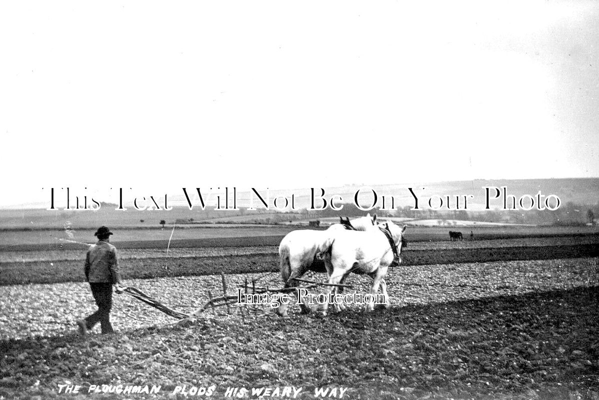 SC 2545 - The Ploughman Plods His Weary Way, Orkney, Scotland