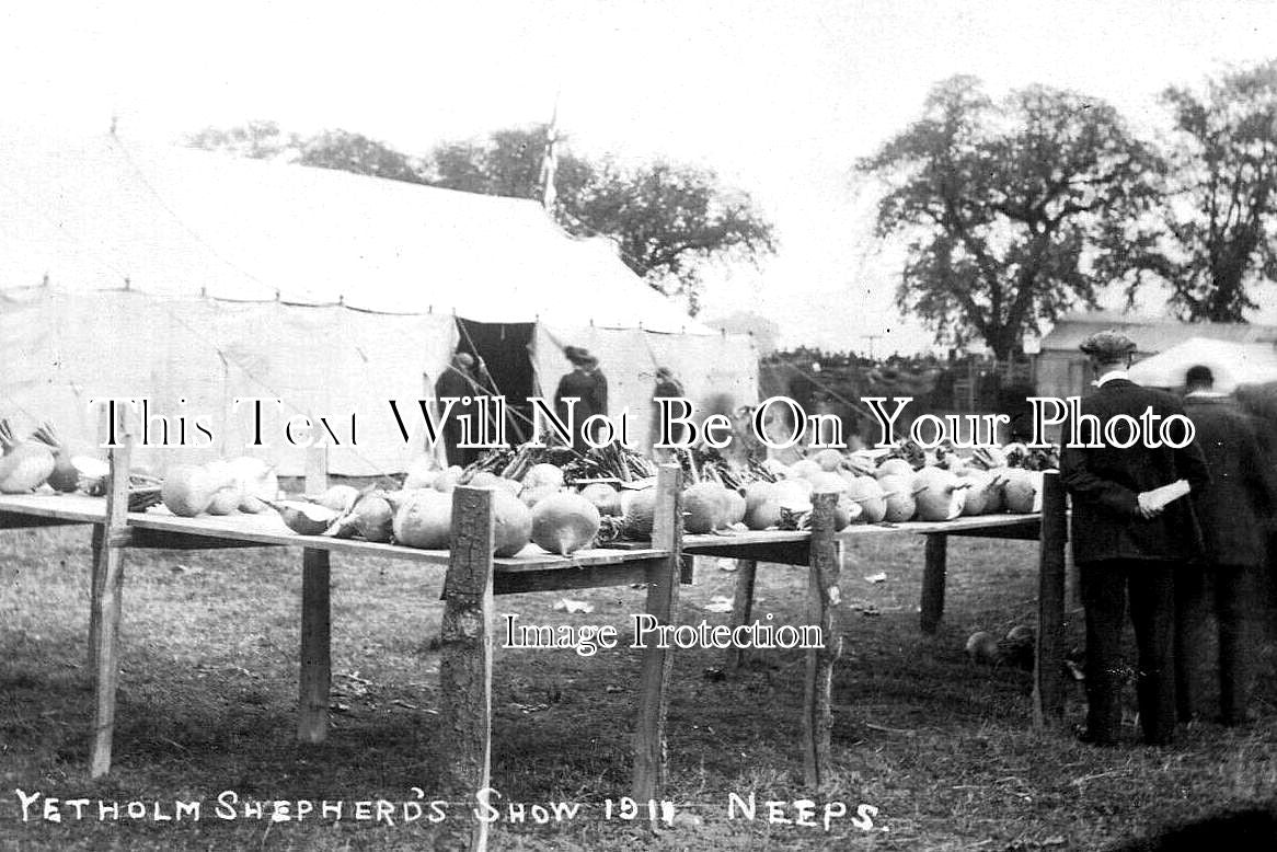 SC 2628 - Neeps Turnips Yetholm Shepherd's Show, Scotland 1911