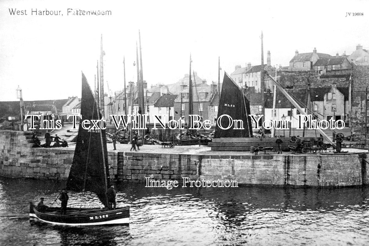 SC 2691 - West Harbour, Pittenweem, Fife, Scotland